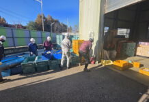 구리시, 2025년 직접 일자리 사업 성공적 마무리