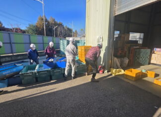 구리시, 2025년 직접 일자리 사업 성공적 마무리