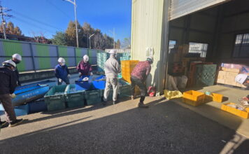 구리시, 2025년 직접 일자리 사업 성공적 마무리