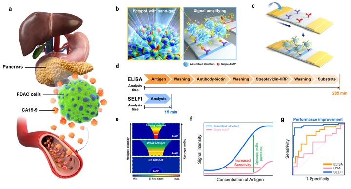 [서울=뉴시스]  'SELFI' 기술 개념도. (사진=건국대 제공) 2026.03.04. photo@newsis.com *재판매 및 DB 금지