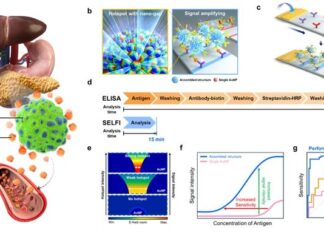 건국대 연구진, 15분 만에 ‘췌장암’ 신속 진단하는 기술 개발 :: 공감언론 뉴시스 ::