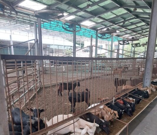 안산시, 농수산물 도매시장 자원화 사업 순조롭게 추진